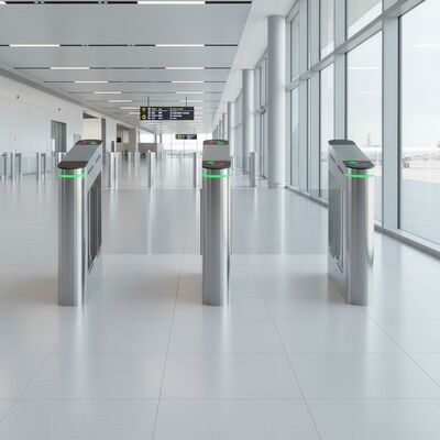 304 Stainless Steel Swing Turnstile with 220V Power and 40W Energy Efficiency for Secure Access Control