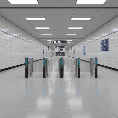 Automatic Turnstile Gate with 304 Stainless Steel Construction, 220V Power, and 600-900mm Channel Width for Secure Access Control